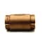Thrifco Plumbing 1 Inch Threaded Brass Swing Check Valve 6415403 - alternate 6